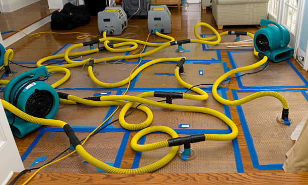 Professional Basement Flood Cleanup technician working in Oxon Hill, MD